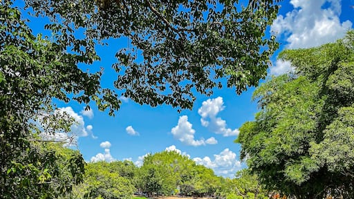 Lovely river and trees
