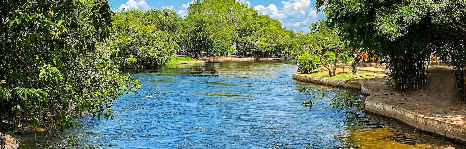 Lovely river and trees