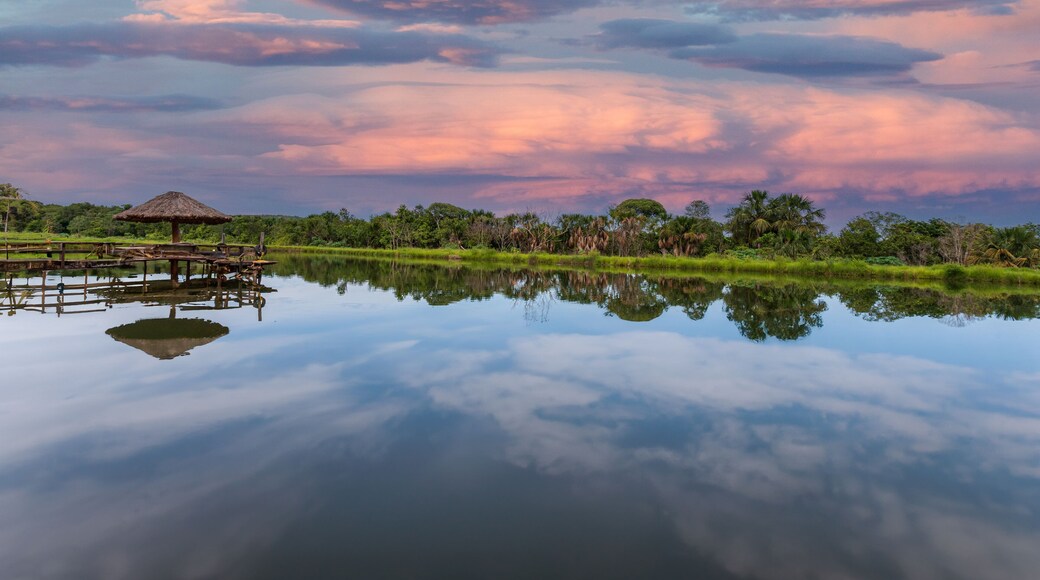 Landscape of a Lake in a farm
