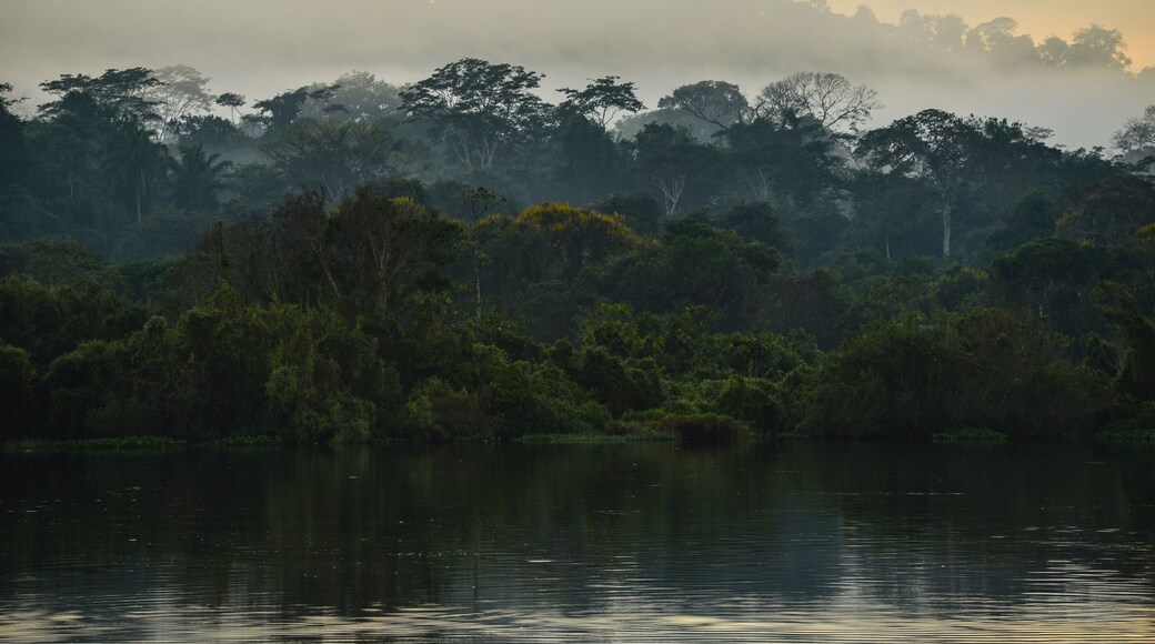 São Francisco do Guaporé