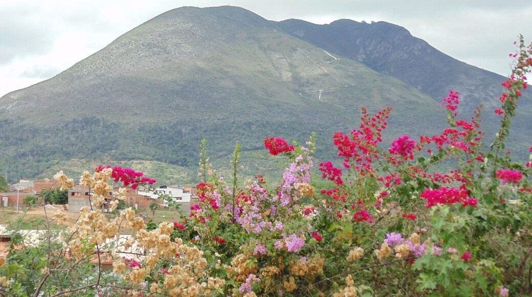 Aqui começa milha história