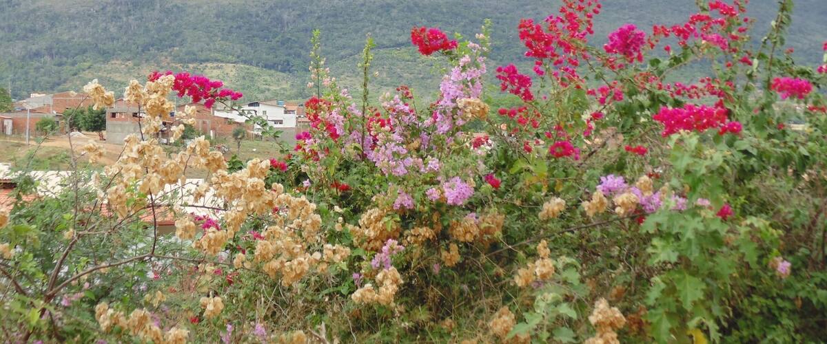 A mountain landscape with a village in the foreground and a range of colorful flowers in the foreground.