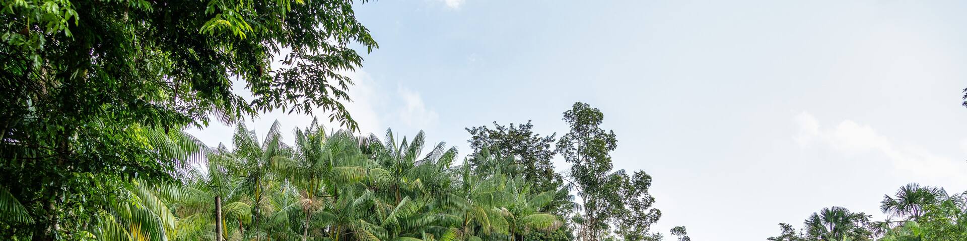 River boat tour on the Guama River at Belem do Para, a city on the north area of Brazil.
