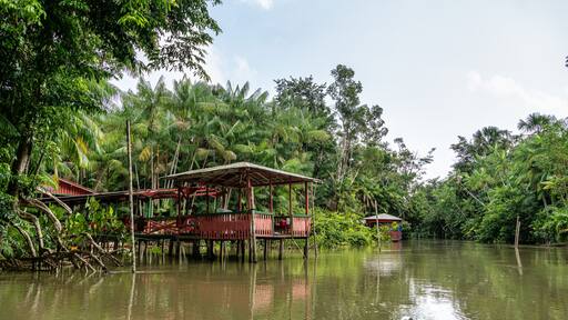 River boat tour on the Guama River at Belem do Para, a city on the north area of Brazil.