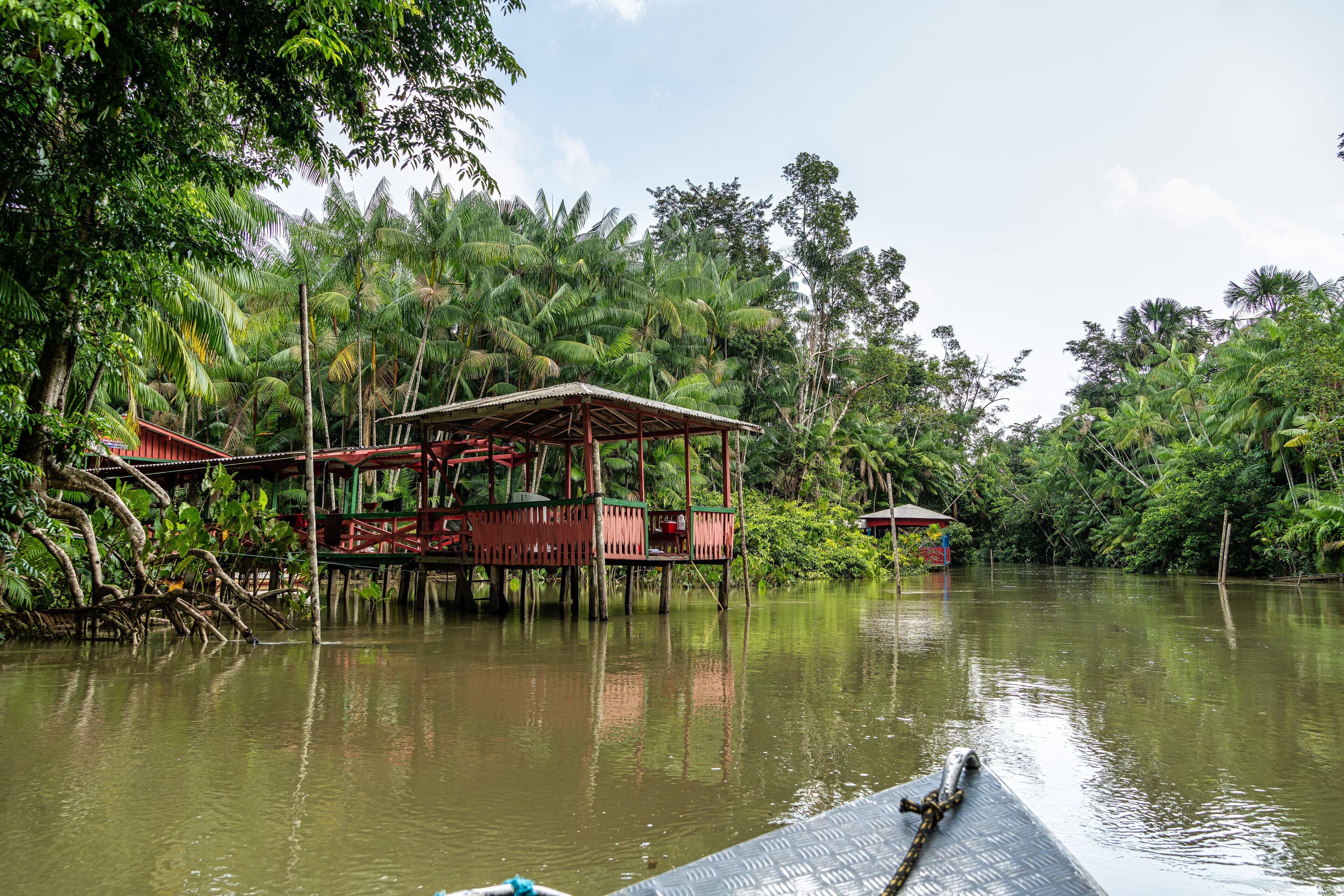 A house on stilts surrounded by dense tropical vegetation and a calm river.