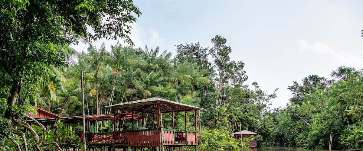 A house on stilts surrounded by dense tropical vegetation and a calm river.