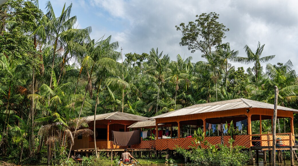River boat tour on the Guama River at Belem do Para, a city on the north area of Brazil.