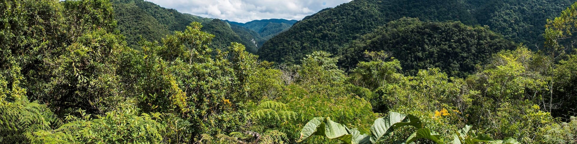 Paisagem com o verde da Mata Atlântica na parte inferior e o azul do céu e o branco das nuvens na parte superior do quadro. Vale do Ribeira, São Paulo, Brasil.