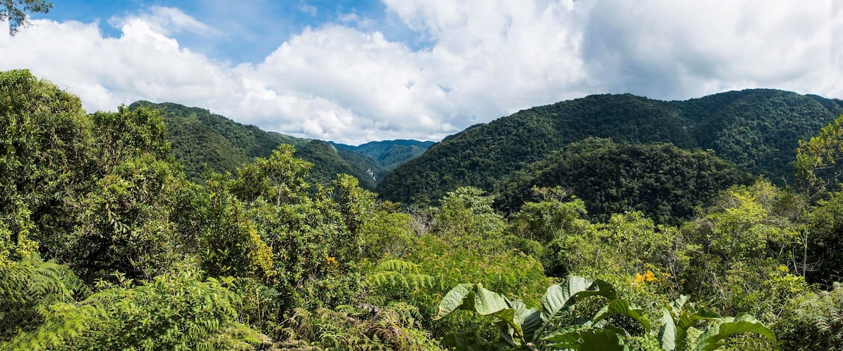 A lush green valley with dense vegetation and rolling hills under a partly cloudy sky.