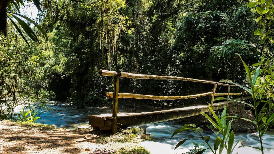 A wooden bridge over a flowing river surrounded by dense greenery.