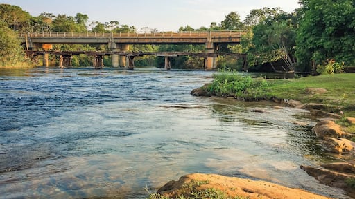 MT 232, trecho entre Campo Novo do Parecis e Sapezal.
