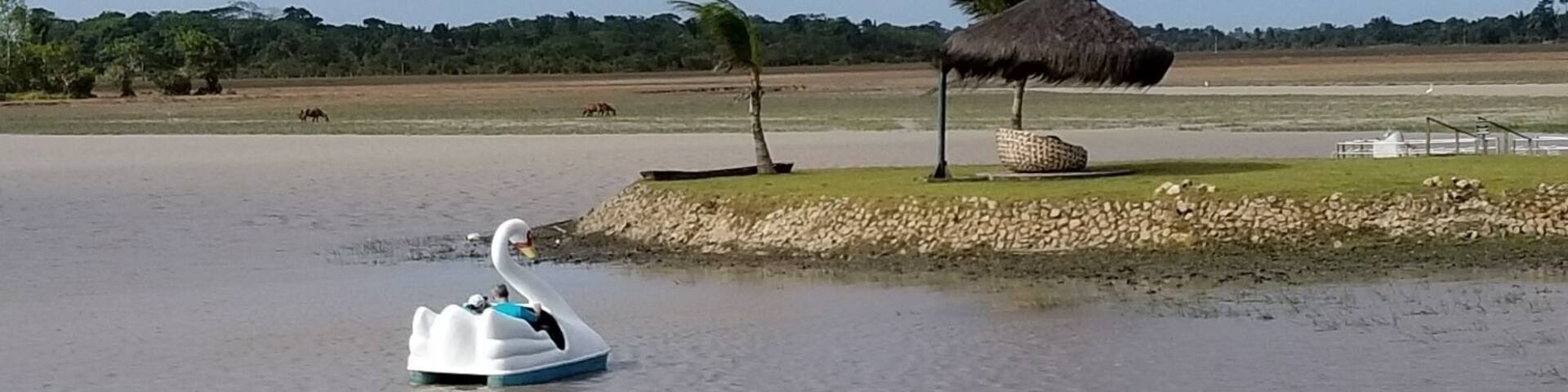 Passeio de pedalinho no por do sol