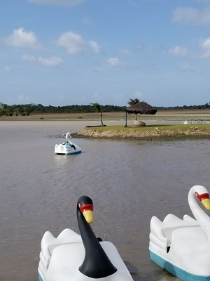 Passeio de pedalinho no por do sol