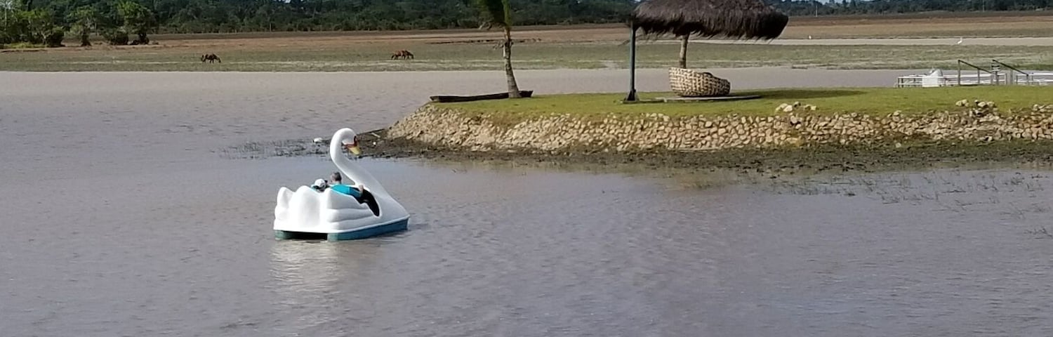 Passeio de pedalinho no por do sol