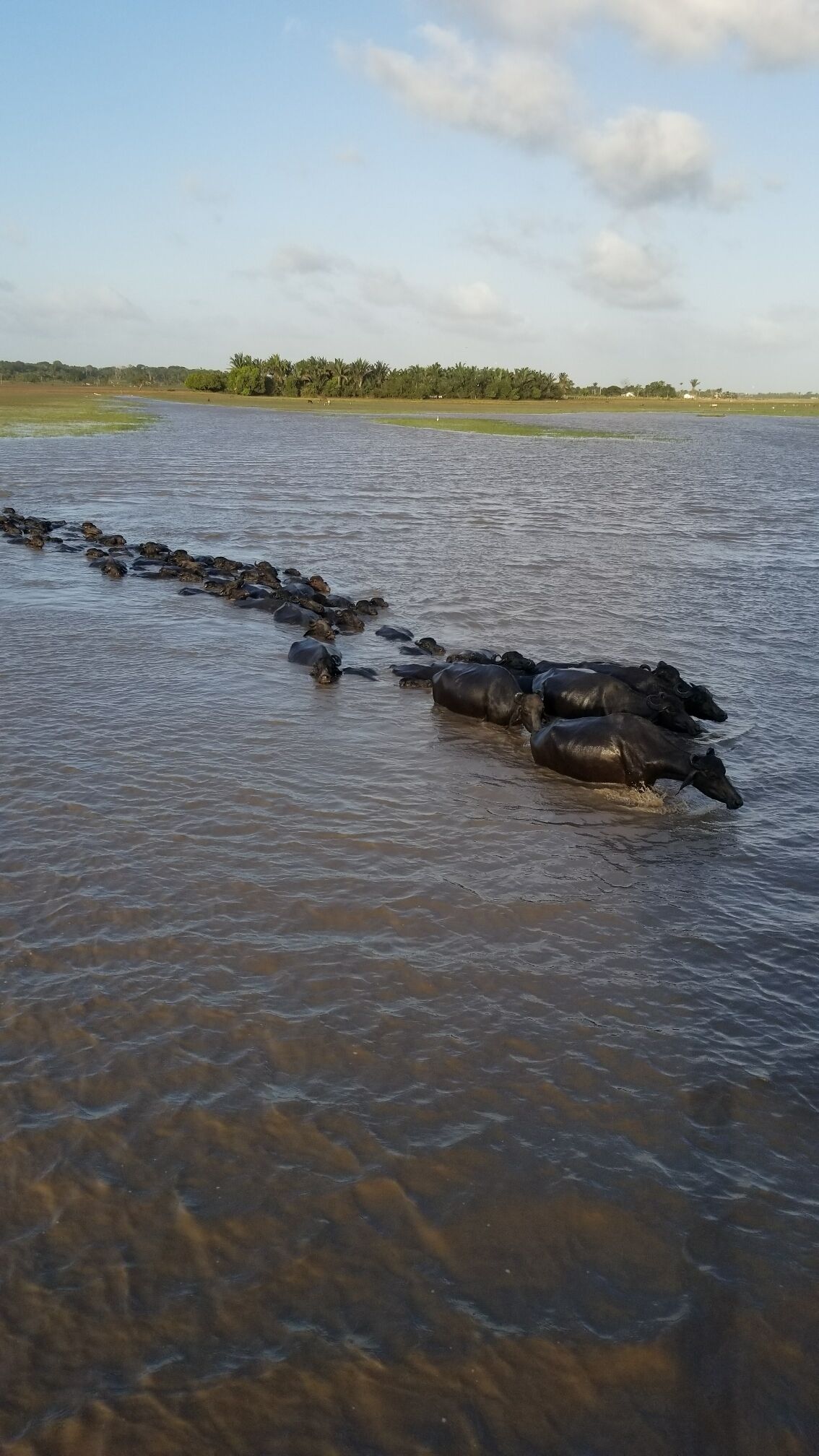 Lugar extremamente agradável 