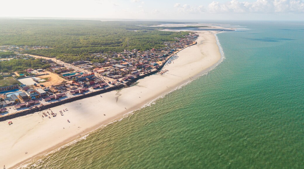 ํธ๋ผ์ฟ ์ํ
์ฐ์