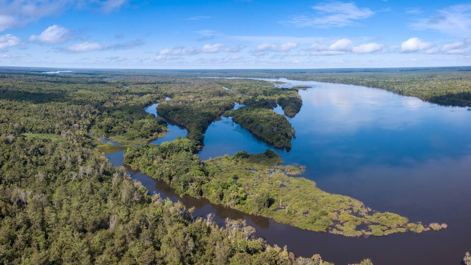 Beautiful aerial drone panoramic view of Xingu river in the Amazon rainforest on sunny summer day with blue sky. Mato Grosso, Brazil. Concept of nature, ecology, natural resources and environment.