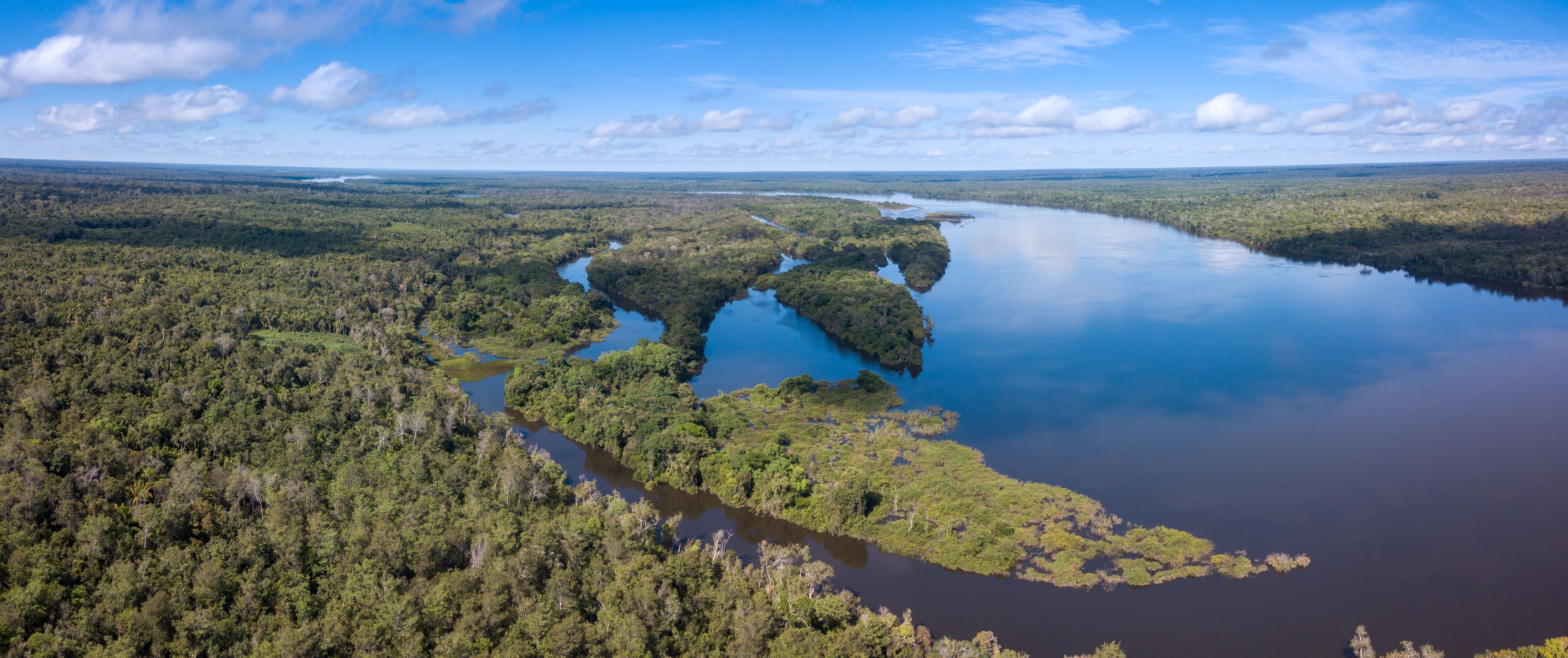 A river winding through a dense forest, surrounded by a vast landscape of greenery and water bodies.