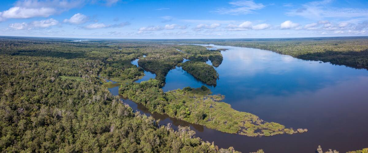 A river winding through a dense forest, surrounded by a vast landscape of greenery and water bodies.