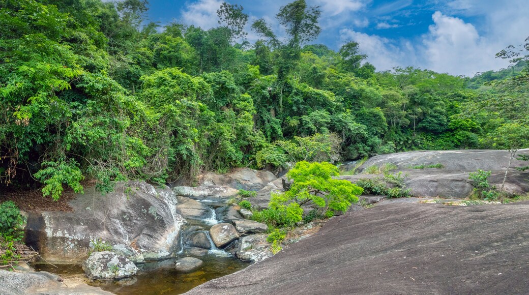SĂŁo Joaquim de Bicas