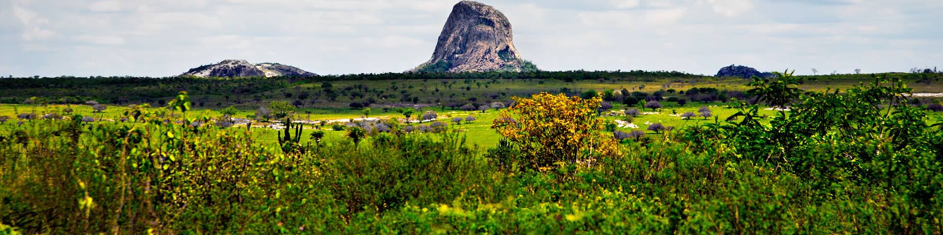 Savanna landscape in Bahia, Sertao, Brazil, South America.
