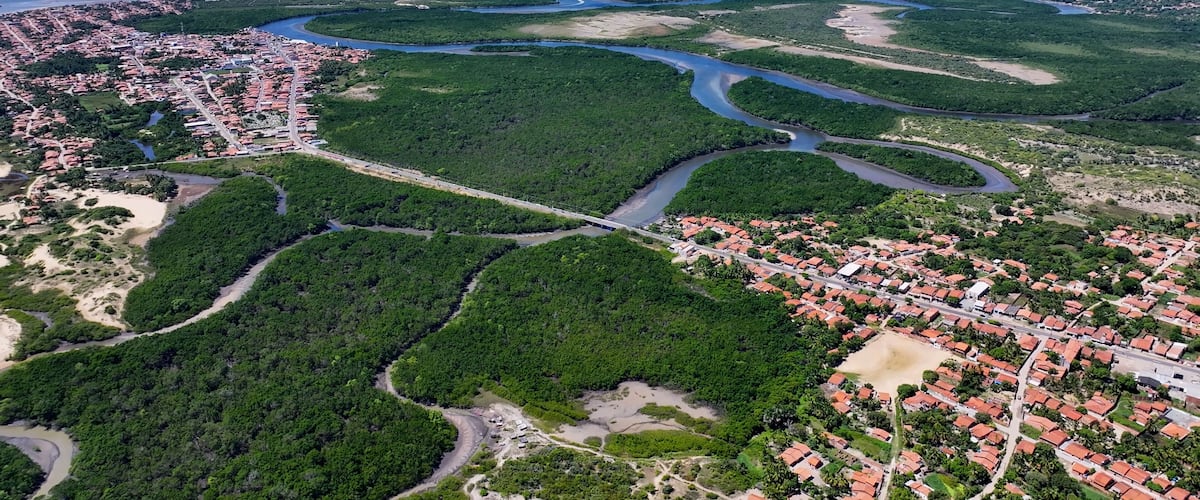 An aerial view of a coastal city with dense green areas, winding rivers, and a bridge connecting two parts of the city.