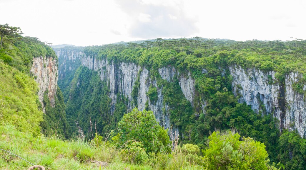 Beautiful landscape of Itaimbezinho Canyon and green rainforest, Cambara do Sul, Rio Grande do Sul, Brazil