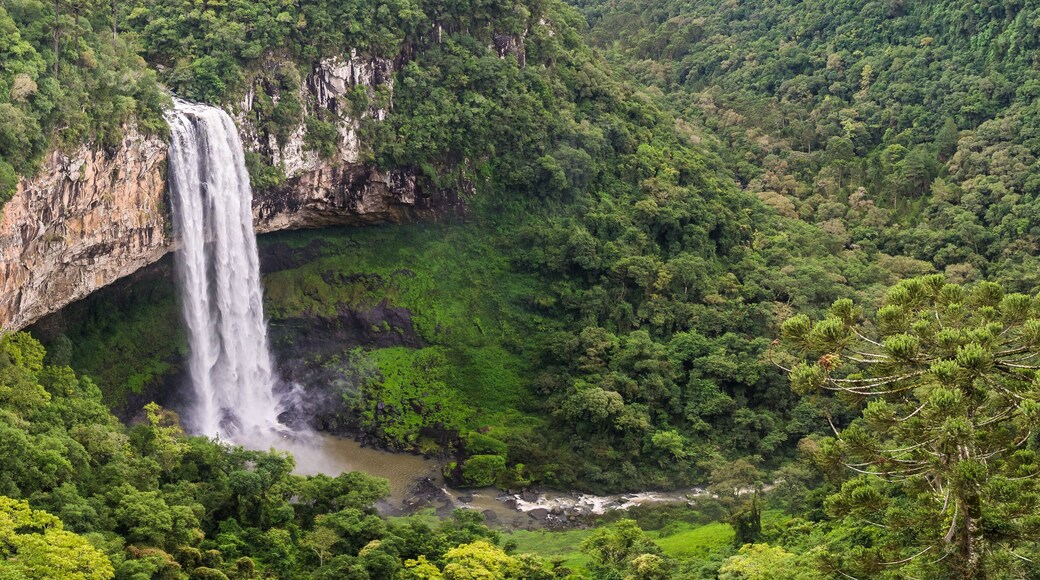 Beautiful view of Caracol Waterfall (Snail Waterfall) - Canela- Rio Grande do Sul - Brazil