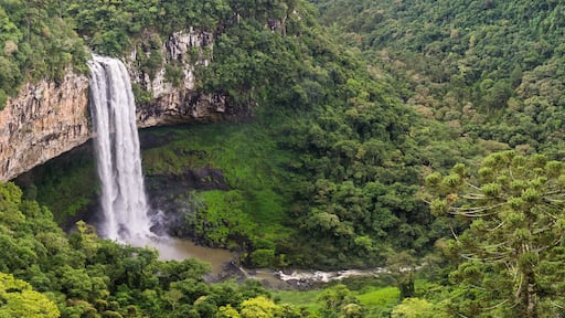 Beautiful view of Caracol Waterfall (Snail Waterfall) - Canela- Rio Grande do Sul - Brazil