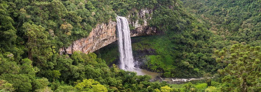 Een waterval stort neer over een rotsachtige klif, omgeven door dicht groen bos.