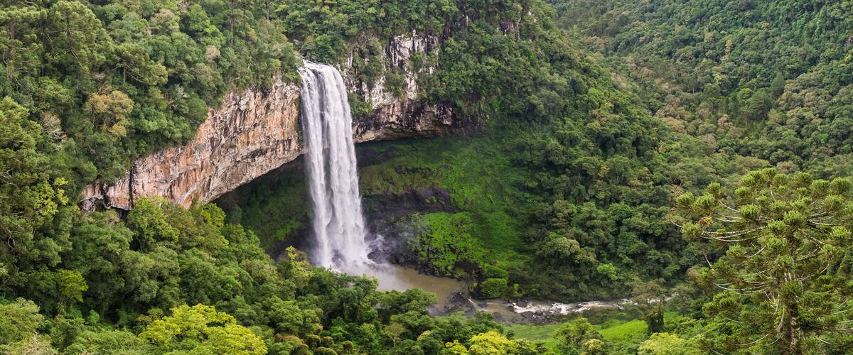 A waterfall cascading down a rocky cliff surrounded by dense green forest.