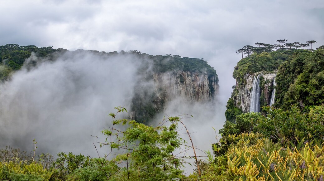 Panoramic view of Itaimbezinho Canyon with fog at Aparados da Serra National Park - Cambara do Sul, Rio Grande do Sul, Brazil