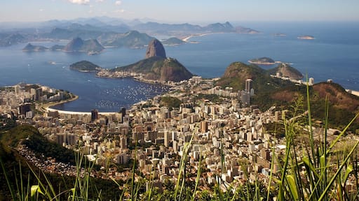 Missing Rio todayđ§đ·