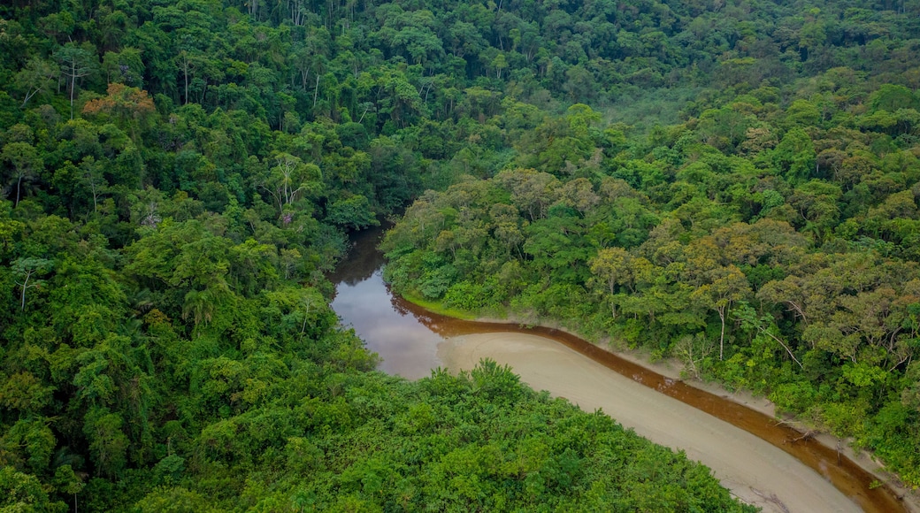 Beautiful aerial view of a small river that flows into Praia da Fazenda, a sustainable tourist destination within the protected area of Serra do Mar State Park, Ubatuba / SP.