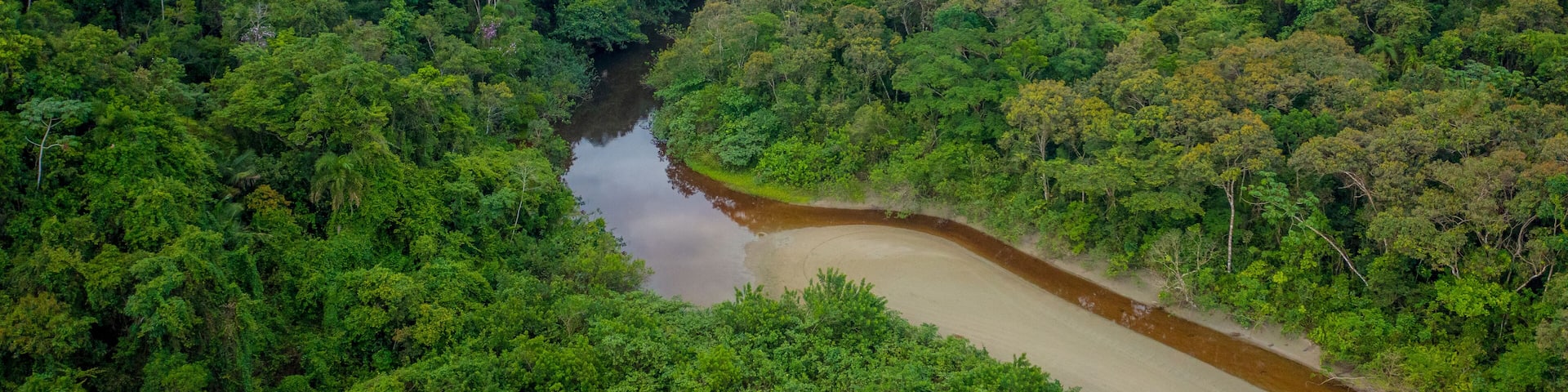 Beautiful aerial view of a small river that flows into Praia da Fazenda, a sustainable tourist destination within the protected area of Serra do Mar State Park, Ubatuba / SP.