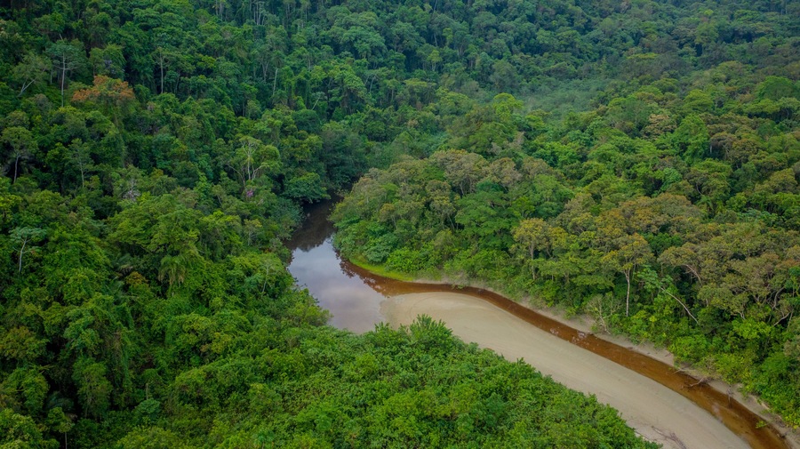 Beautiful aerial view of a small river that flows into Praia da Fazenda, a sustainable tourist destination within the protected area of Serra do Mar State Park, Ubatuba / SP.