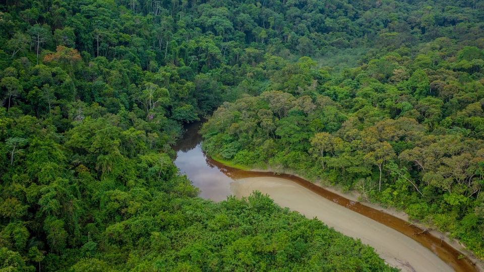 A river winding through a dense forest.