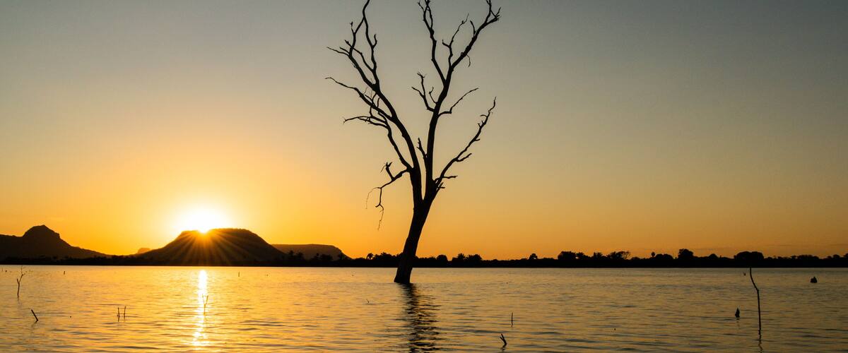 A leafless tree standing in water during sunset with mountains in the background.