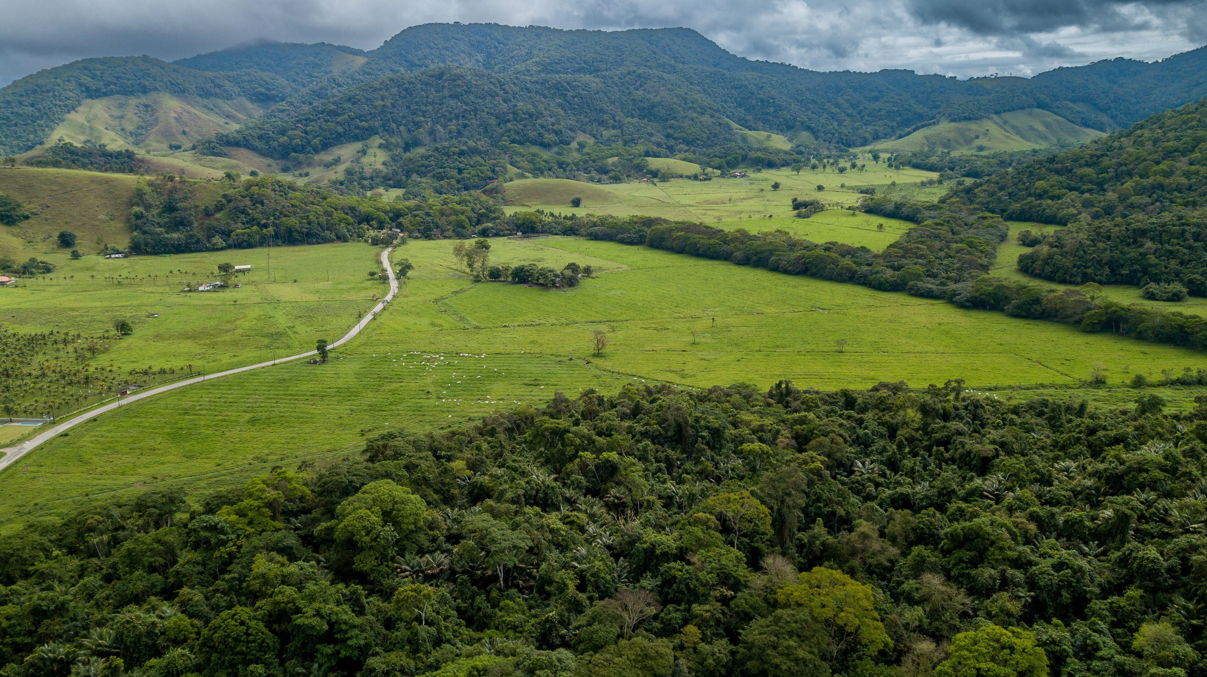 Rural area destined for restoration of native forest in the municipality of Casimiro de Abreu, Rio de Janeiro. 