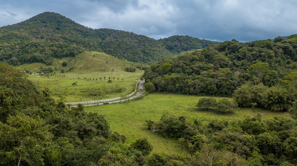 Rural area destined for restoration of native forest in the municipality of Casimiro de Abreu, Rio de Janeiro.