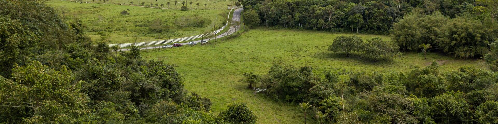 Rural area destined for restoration of native forest in the municipality of Casimiro de Abreu, Rio de Janeiro.