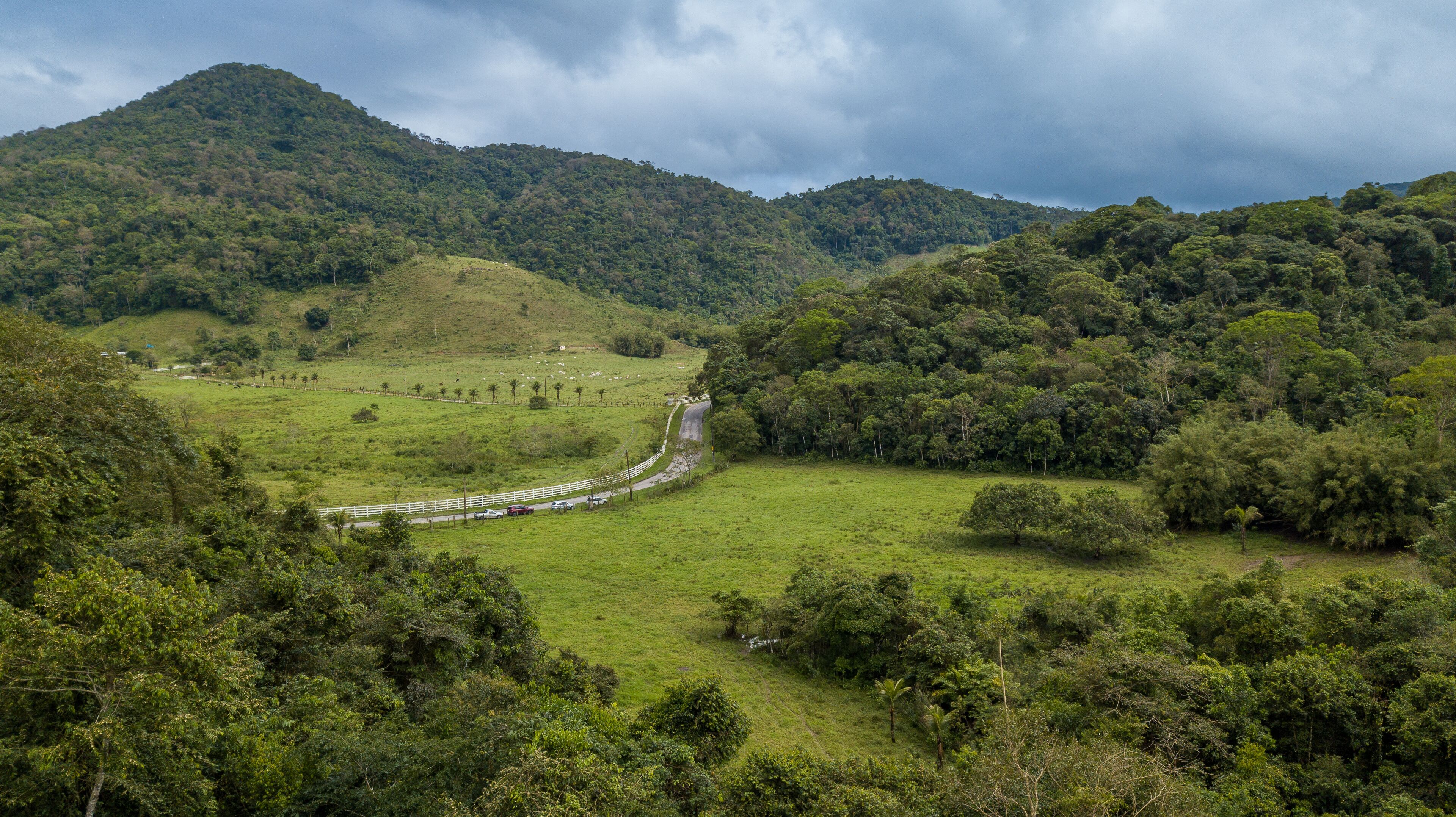A lush green valley with a winding road, surrounded by dense forests and hills.