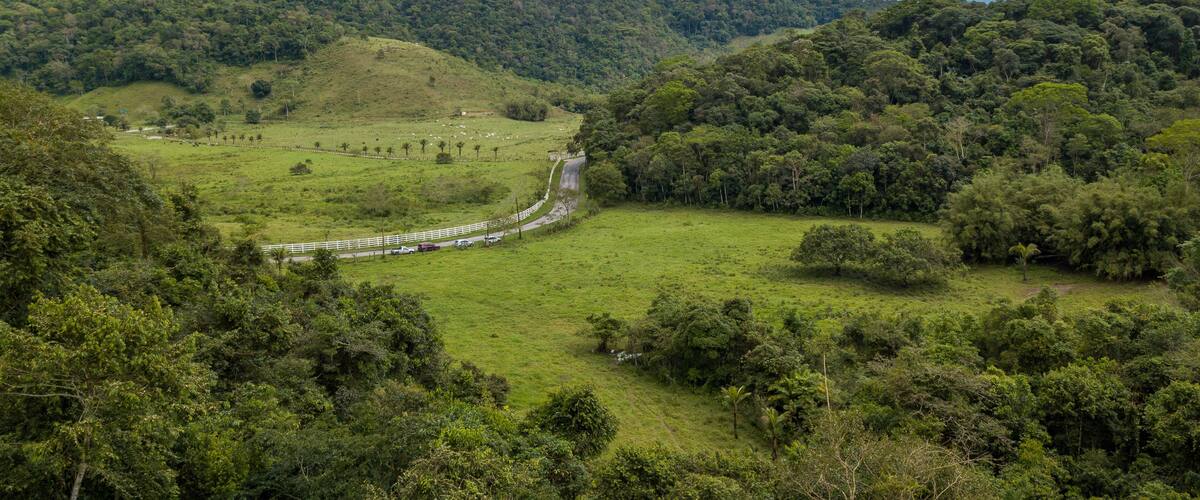 A lush green valley with a winding road, surrounded by dense forests and hills.