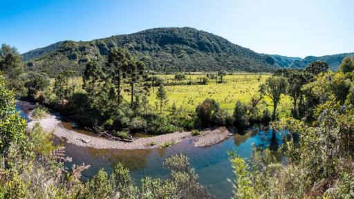 Paisagem campestre com rio