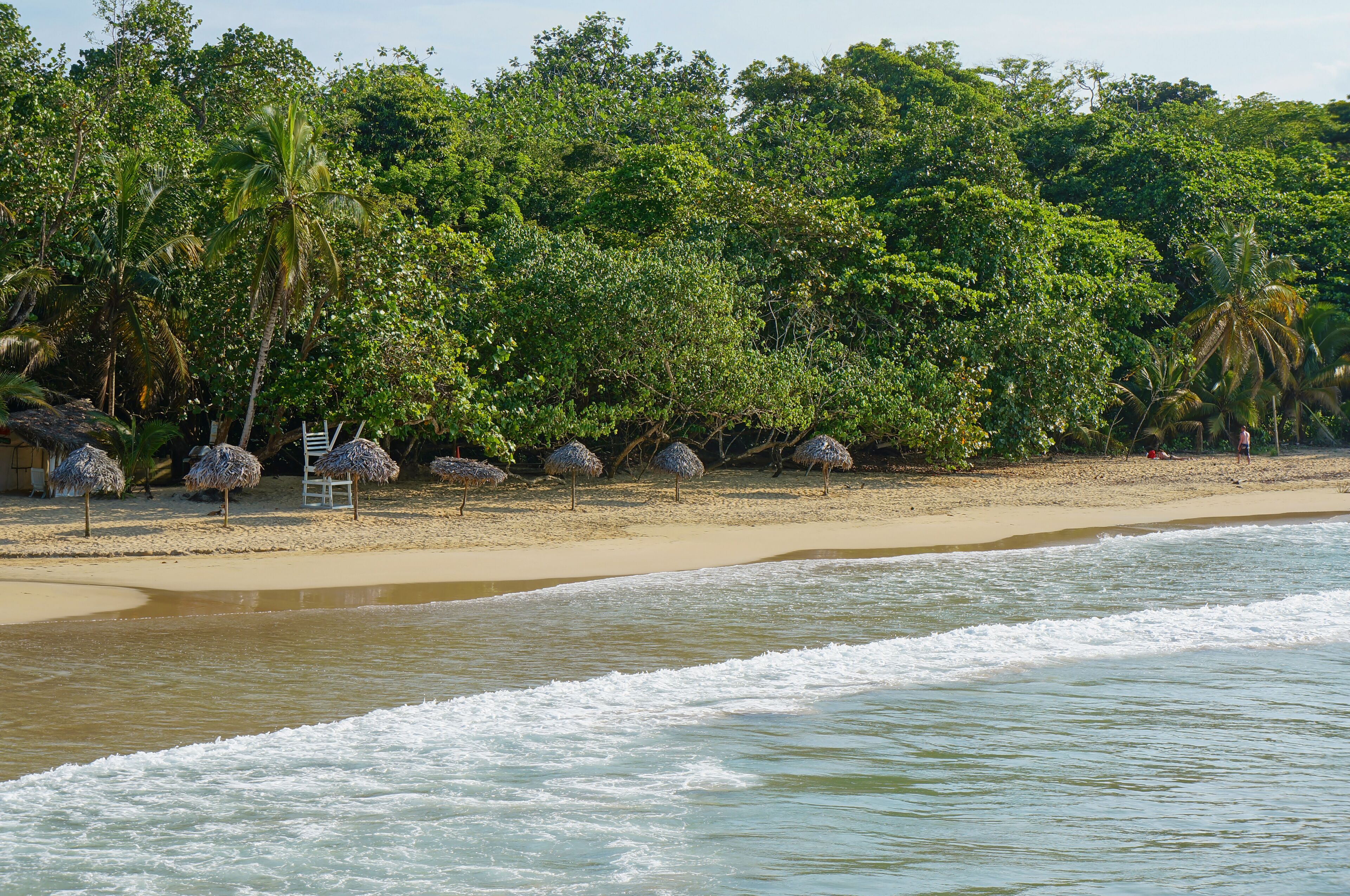 A beach with thatched umbrellas, palm trees, and a clear view of the ocean.