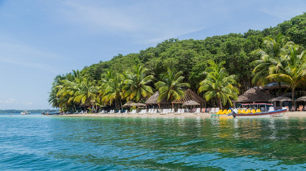 بوينافينتورا