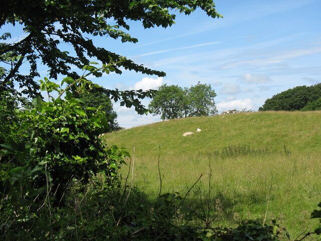 A grassy field with trees and a clear sky.