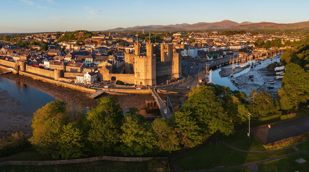 A coastal town with a prominent castle, a river, and a mountainous backdrop.