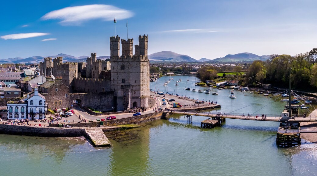 A historic town with a prominent castle, a river with boats, and a mountainous backdrop.