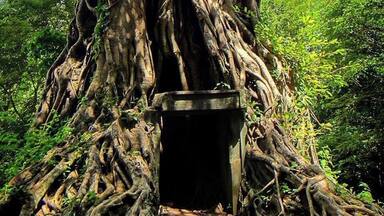 The Forest Temple was most notable for the trees that had used the brick towers as shortcuts to great heights.